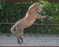 2-13JUIN 0391